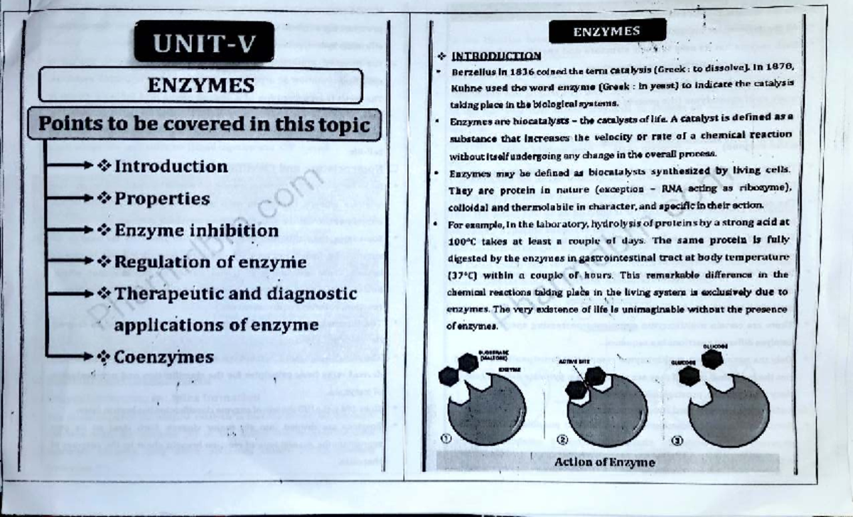 Biochemistry UNIT-V: Enzymes Overview and Key Concepts - Studocu