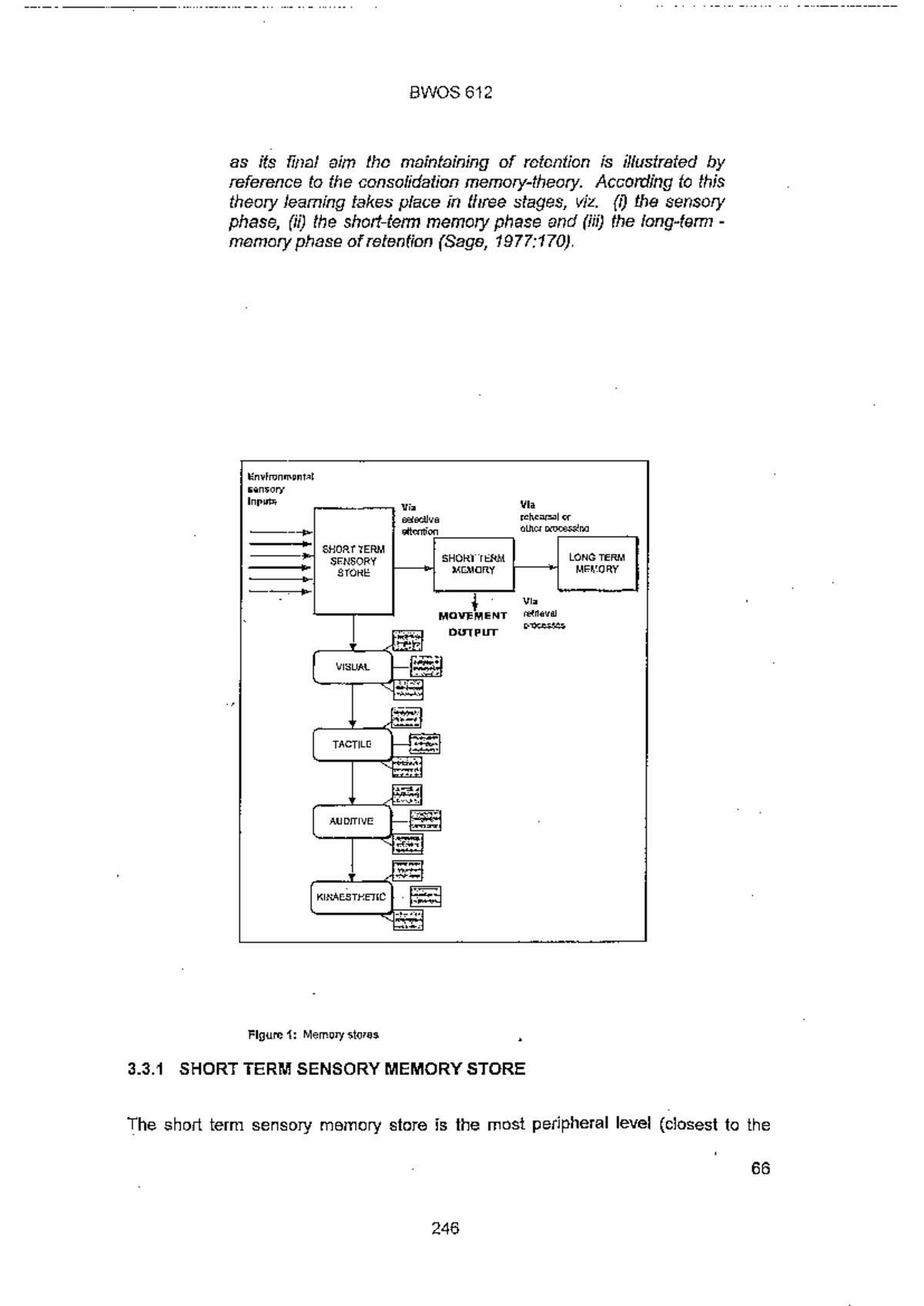 BWOS 612 Final Exam: Understanding Memory and Motor Response Processes ...