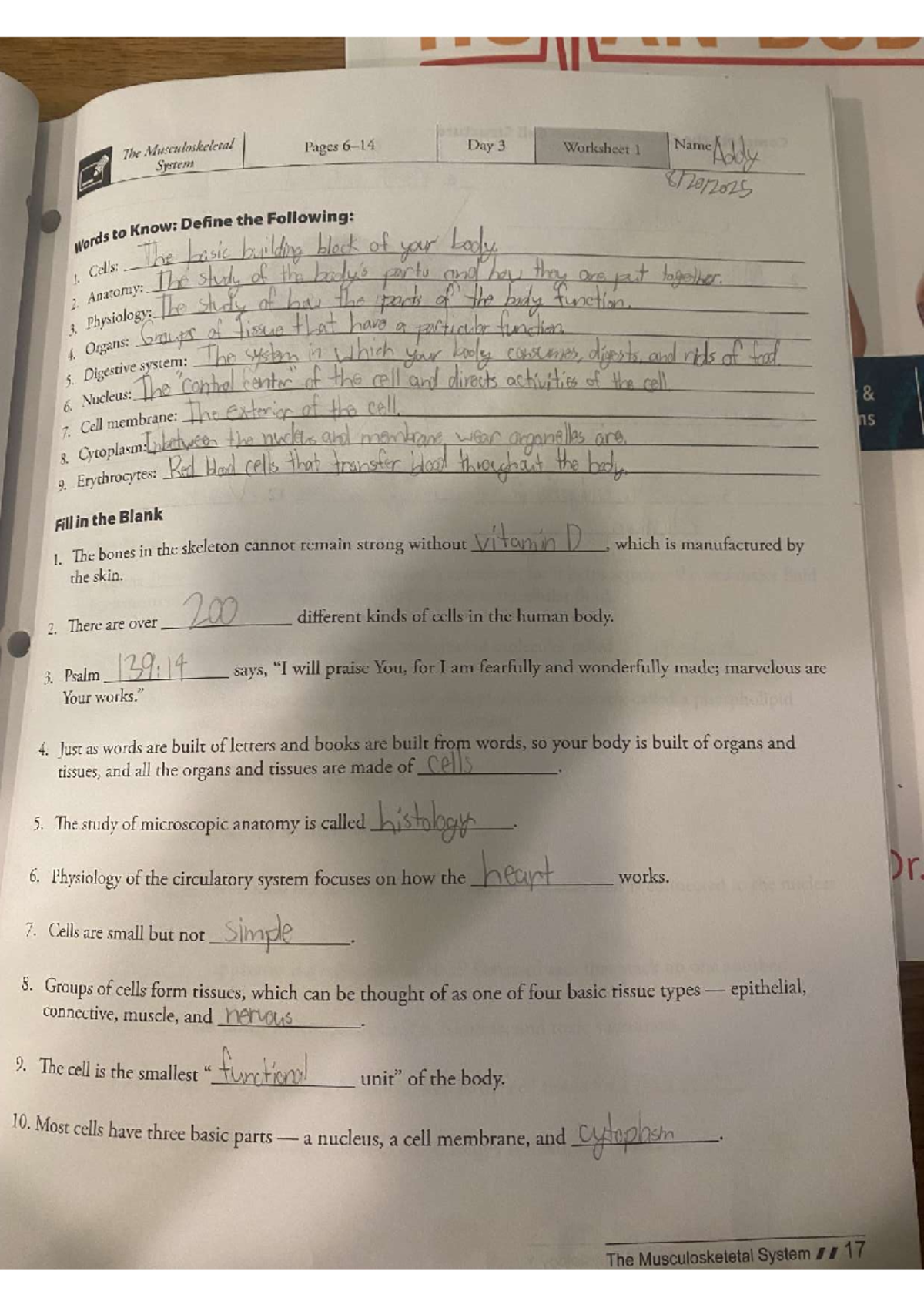 Final Exam Review Notes for PSY 101: Intro to Psychology - Studocu