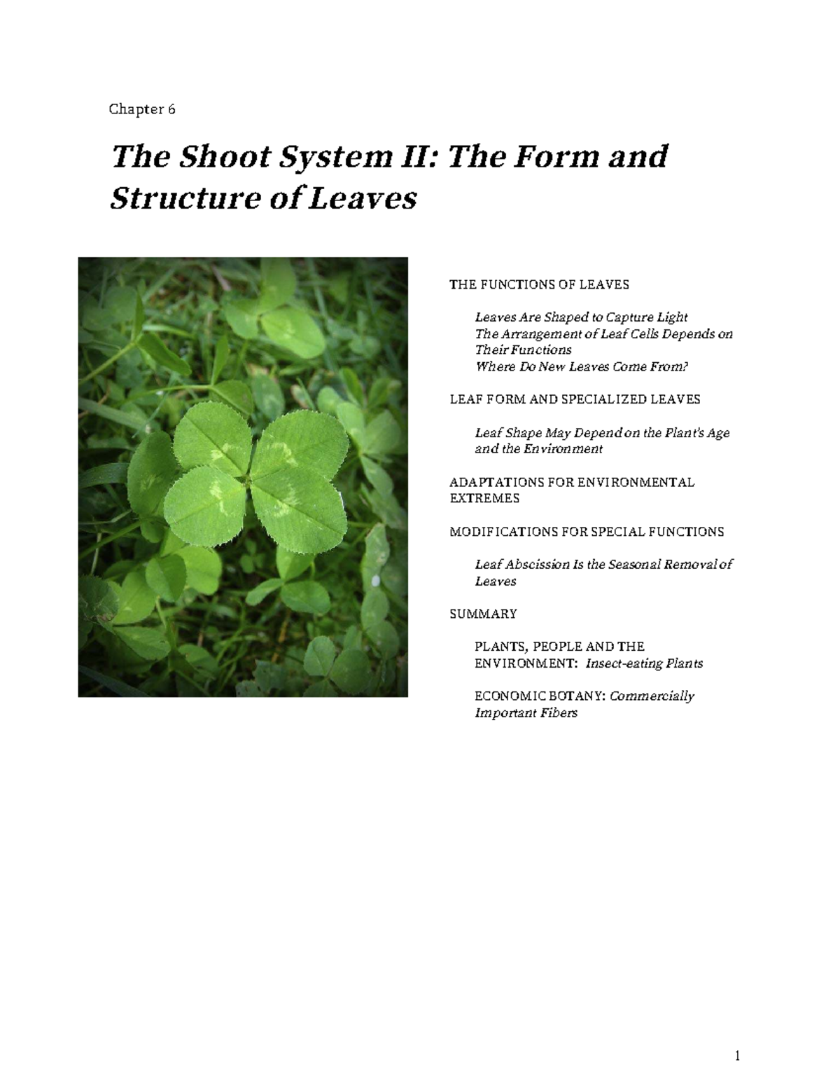 Chapter 6: Leaf Morphology & Anatomy in PLANT 101 Reference Material ...