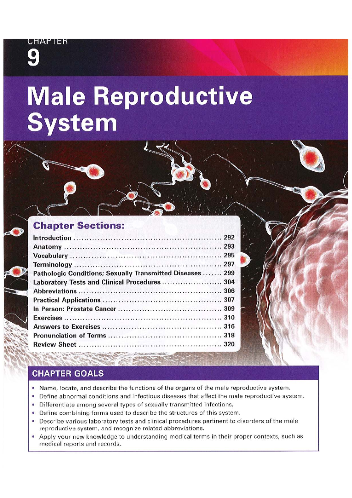 Chapter 9: Male Reproductive System Overview and Disorders - Studocu