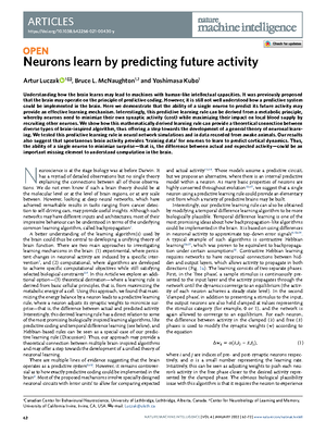 Visual Processing System: Mechanisms, Pathways, and Clinical Insights ...