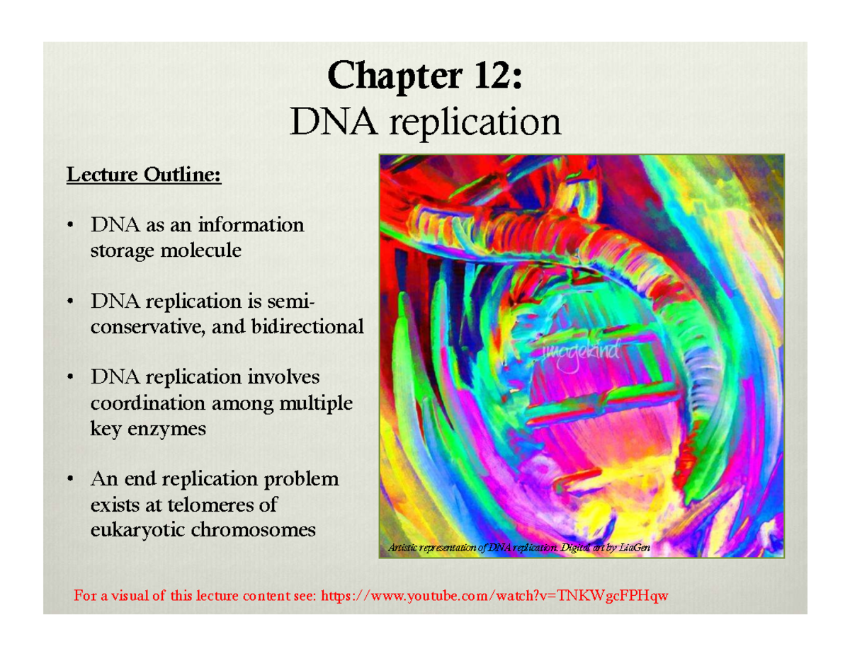 Chapter 12: DNA Replication - Lecture Notes & Key Concepts - Studocu