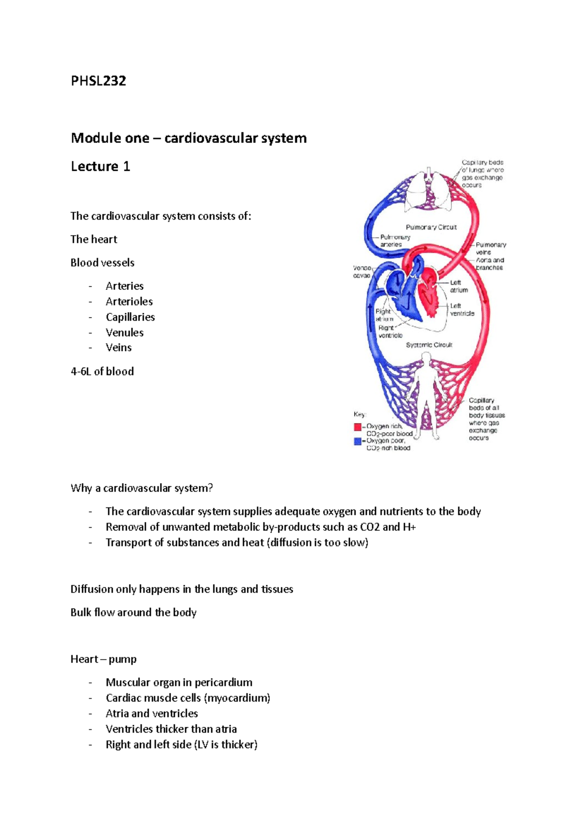 PHSL232 - Cardiovascular System Lecture Notes and Key Concepts - Studocu
