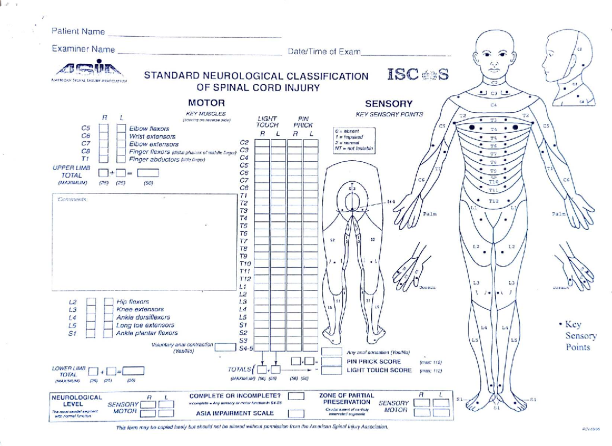 (50) Neurological Assessment: ASIA Impairment Scale (MAX) - Studocu