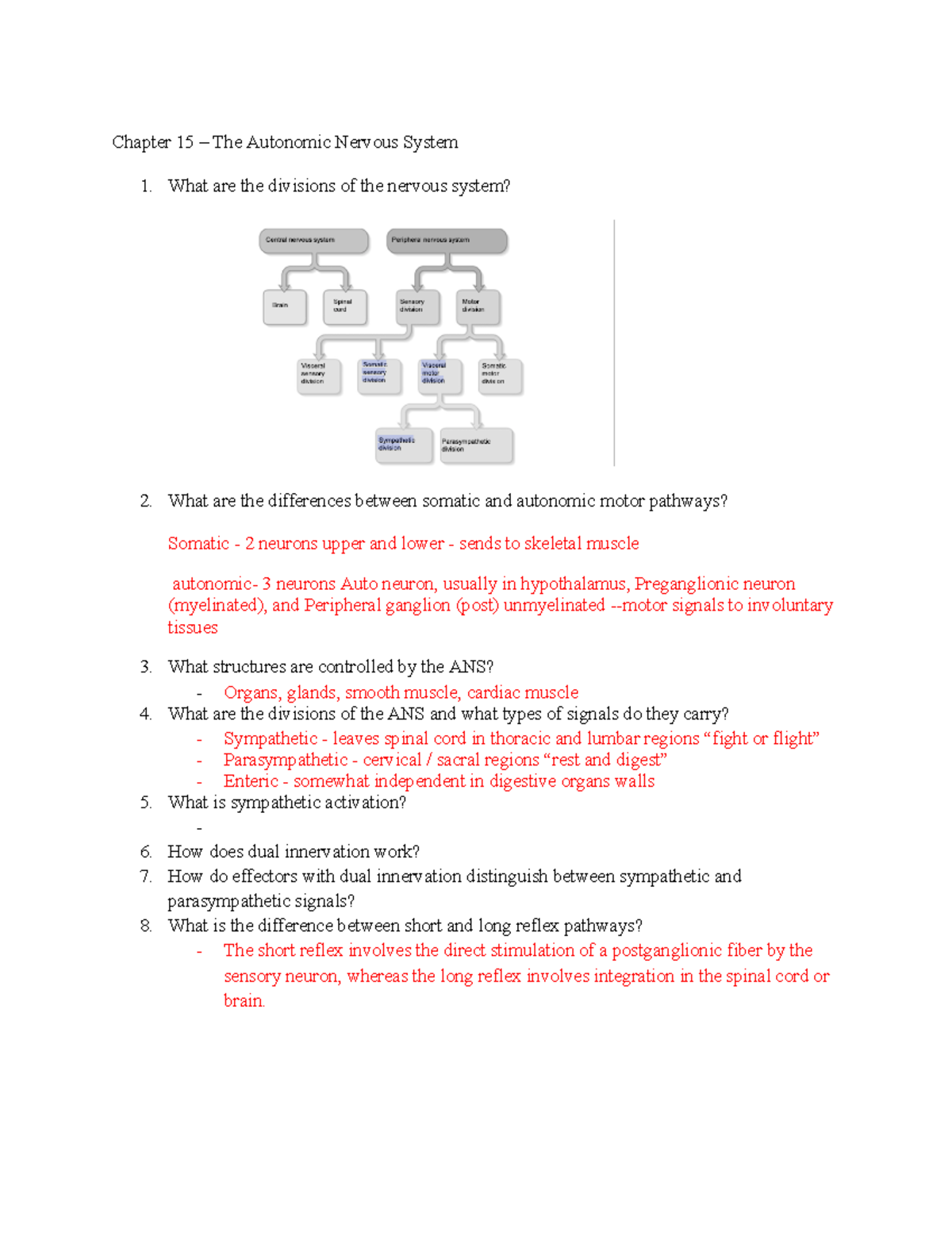 Final exam - Chapter 15 – The Autonomic Nervous System What are the ...