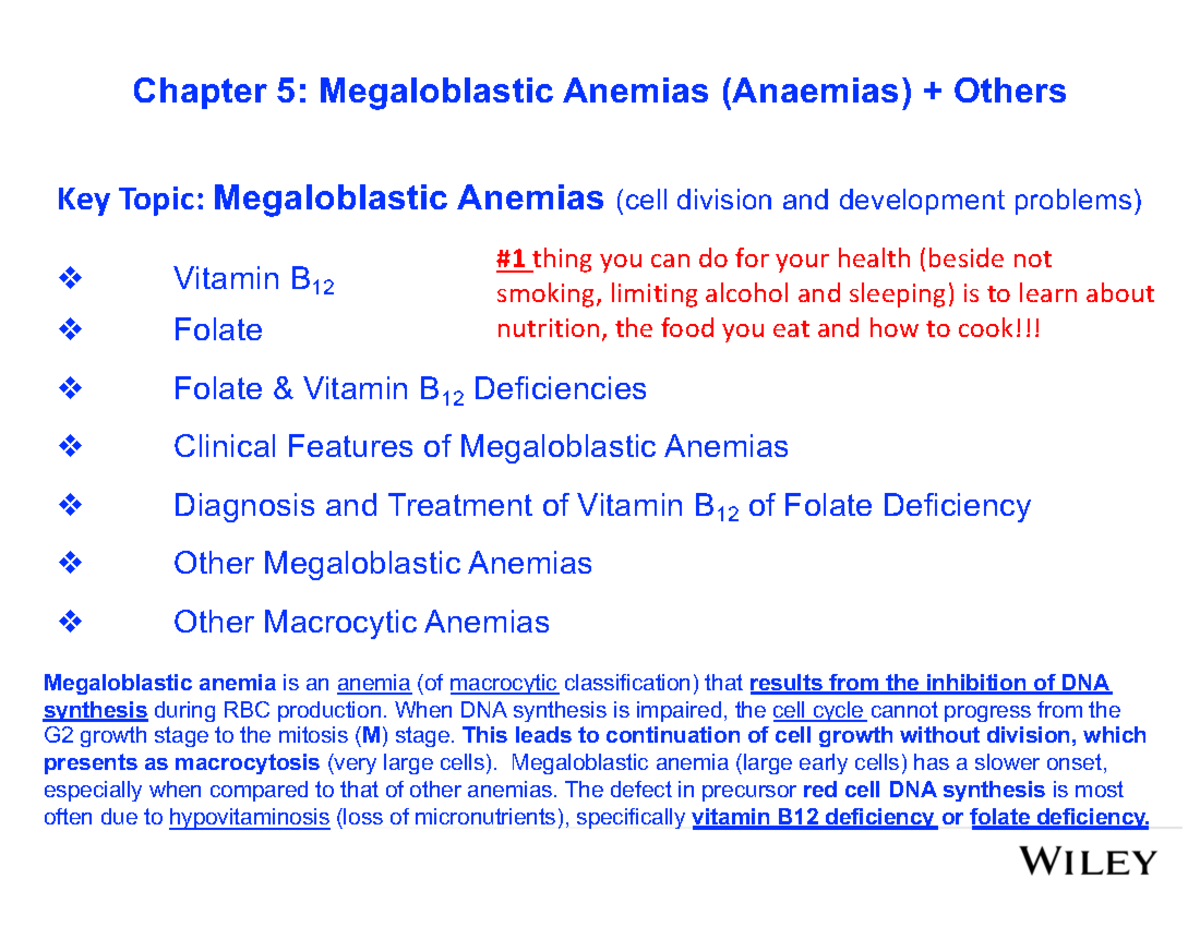 Bio480 Chapter 5: Key Insights on Megaloblastic Anemias - Studocu