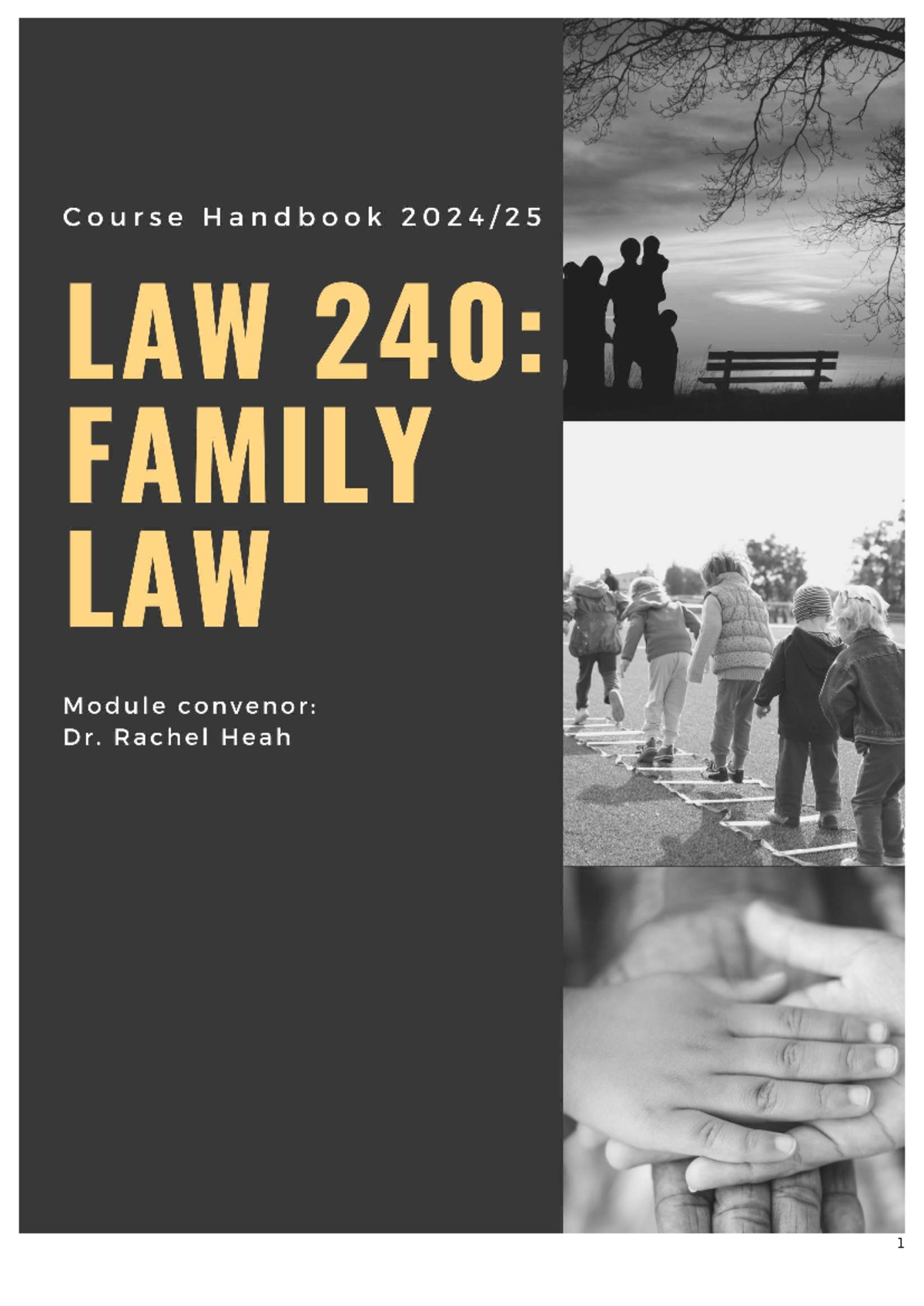Law 240 Family Law Module Handbook 2024: Contents & Overview - Studocu