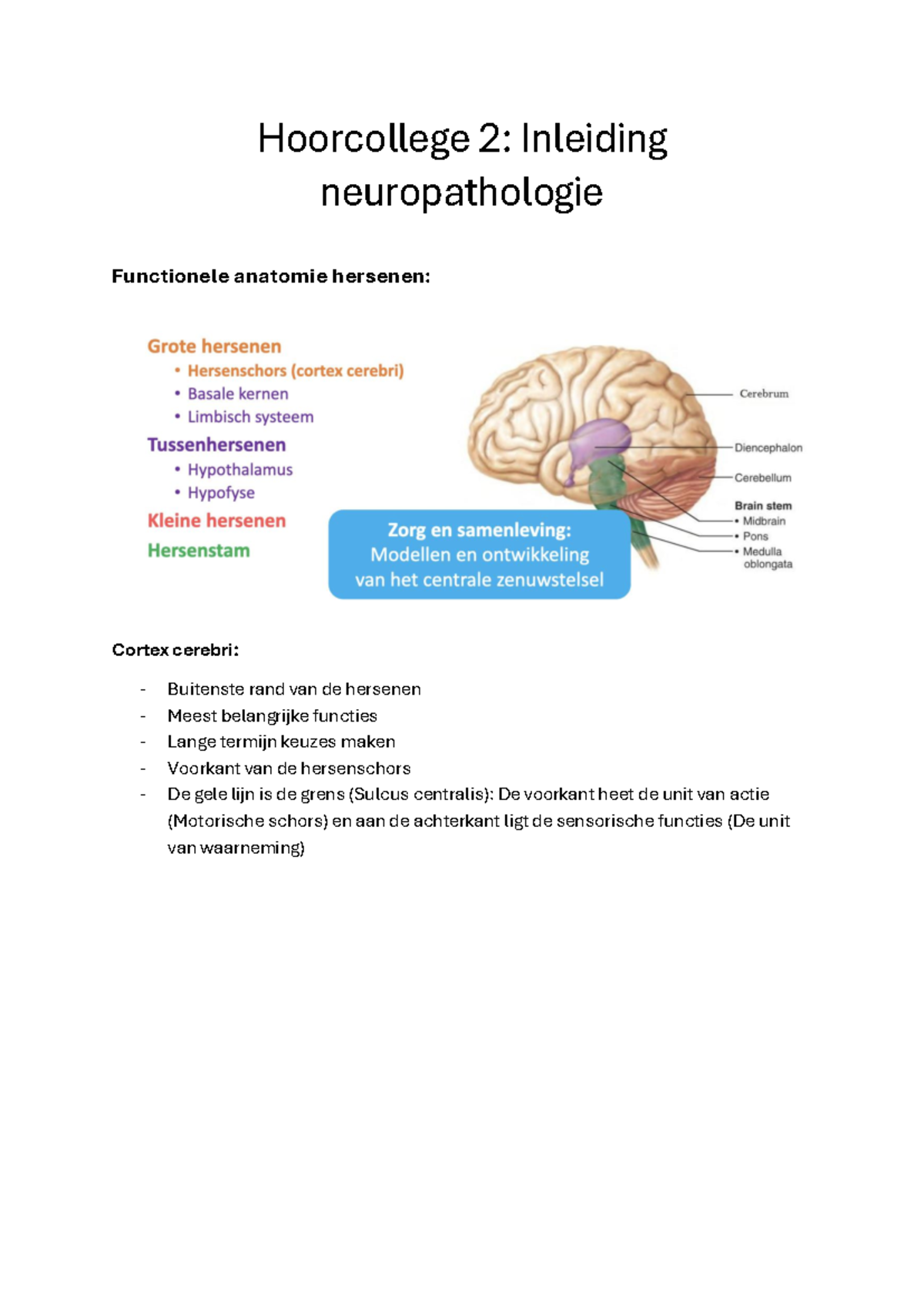 Hoorcollege 2: Inleiding Neuropathologie en Functionele Anatomie ...