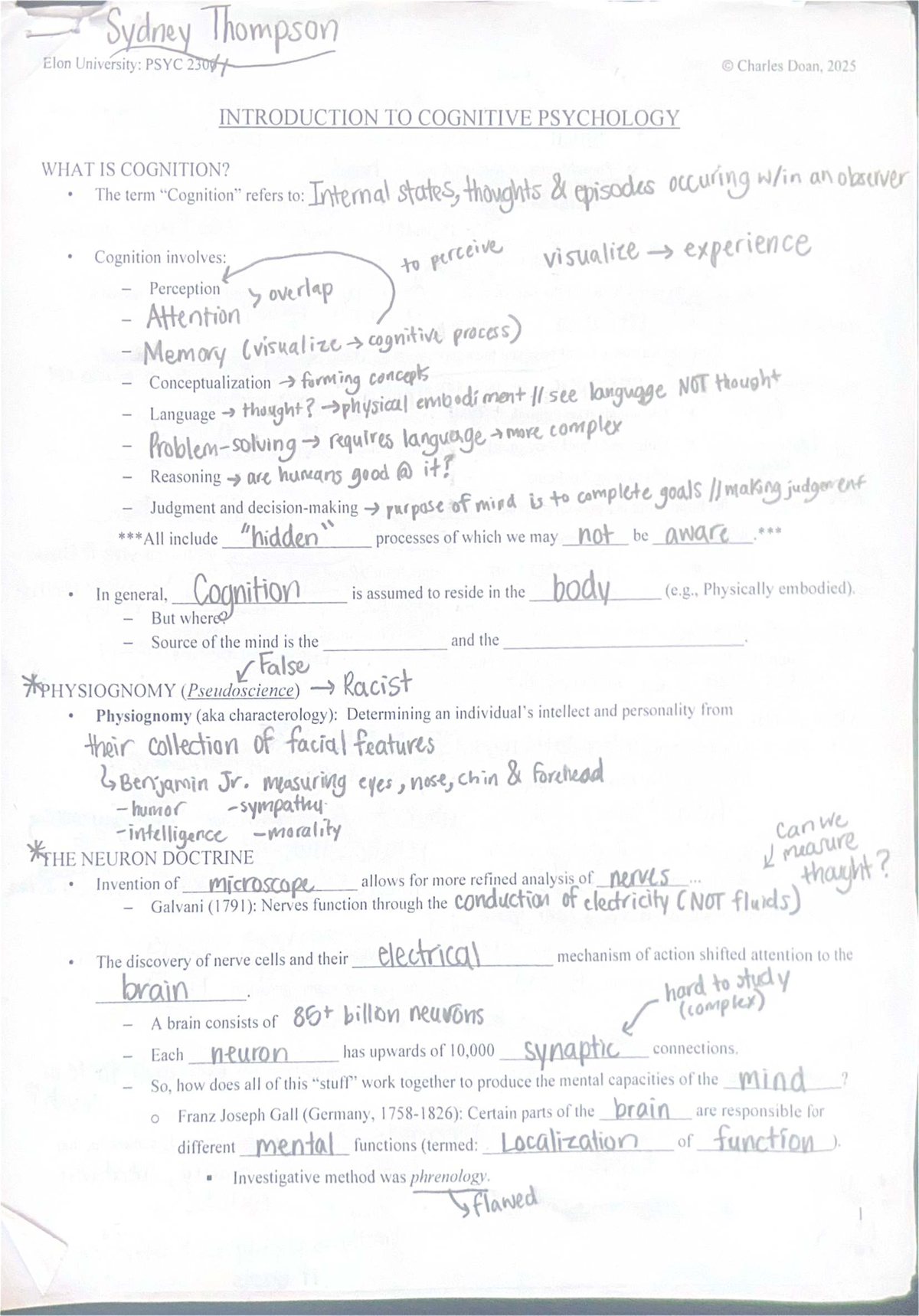 Final Exam Study Guide for PSYC 2300: Cognitive Psychology - Studocu