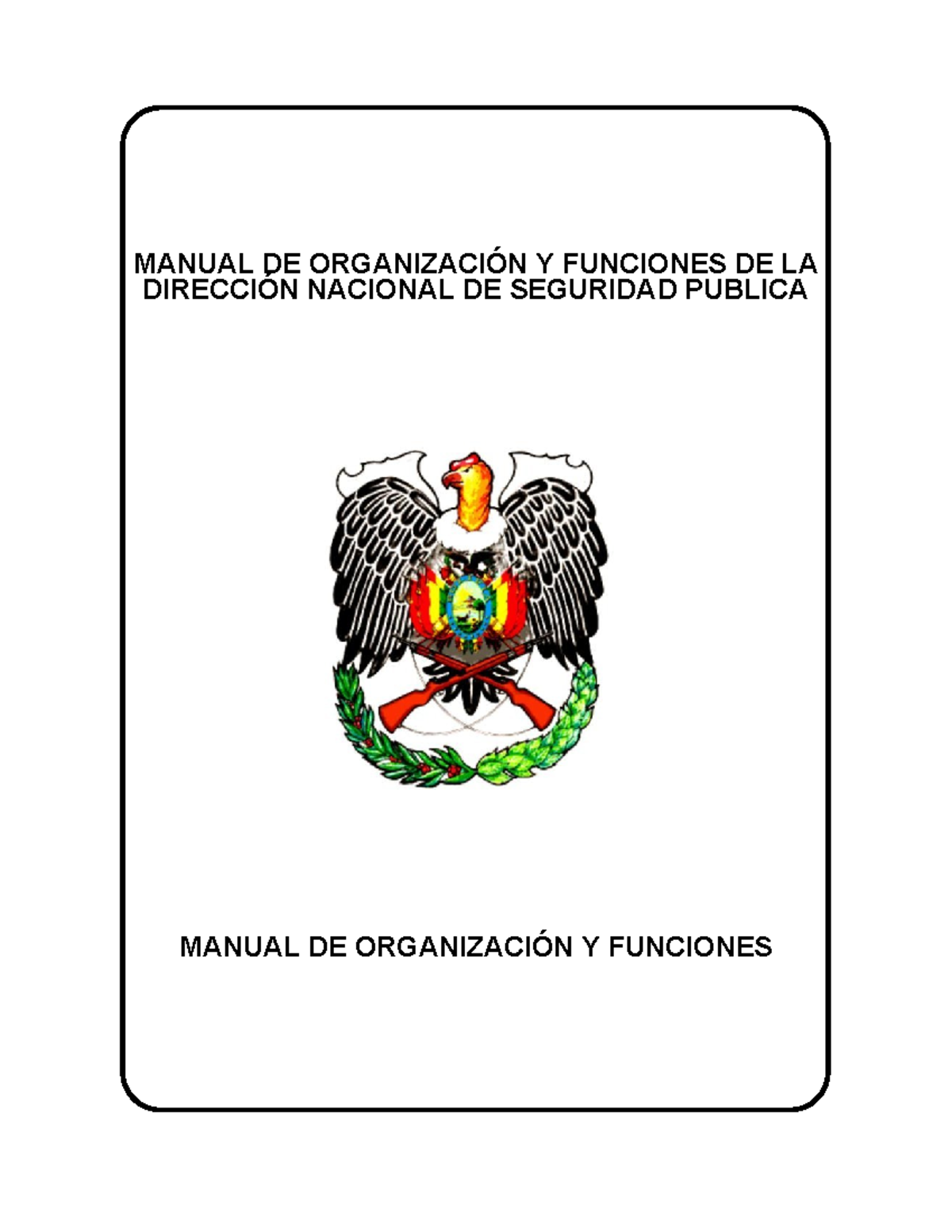 Manual de Organización y Funciones - Dirección Departamental de Seguridad - Document Preview