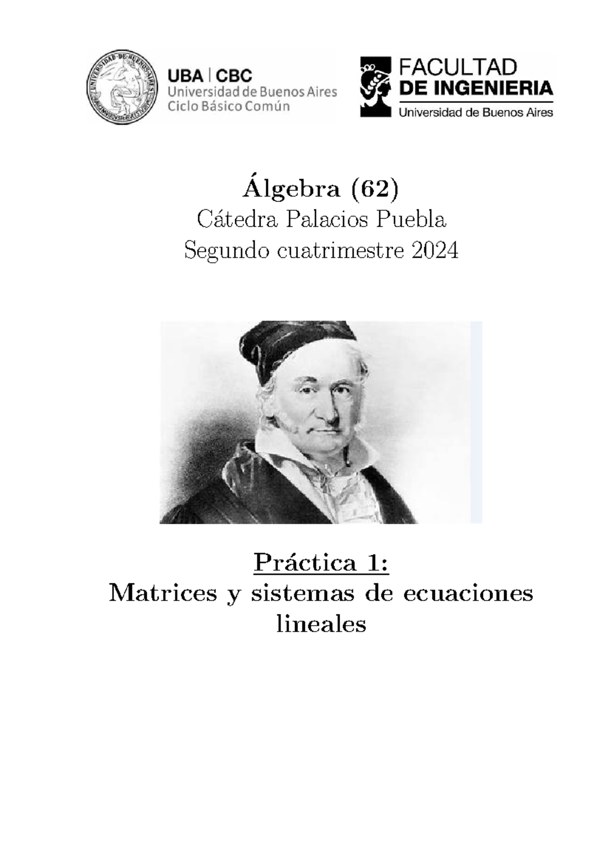 ALG 62 Práctica 1: Matrices y Sistemas de Ecuaciones 2C2024 - Studocu
