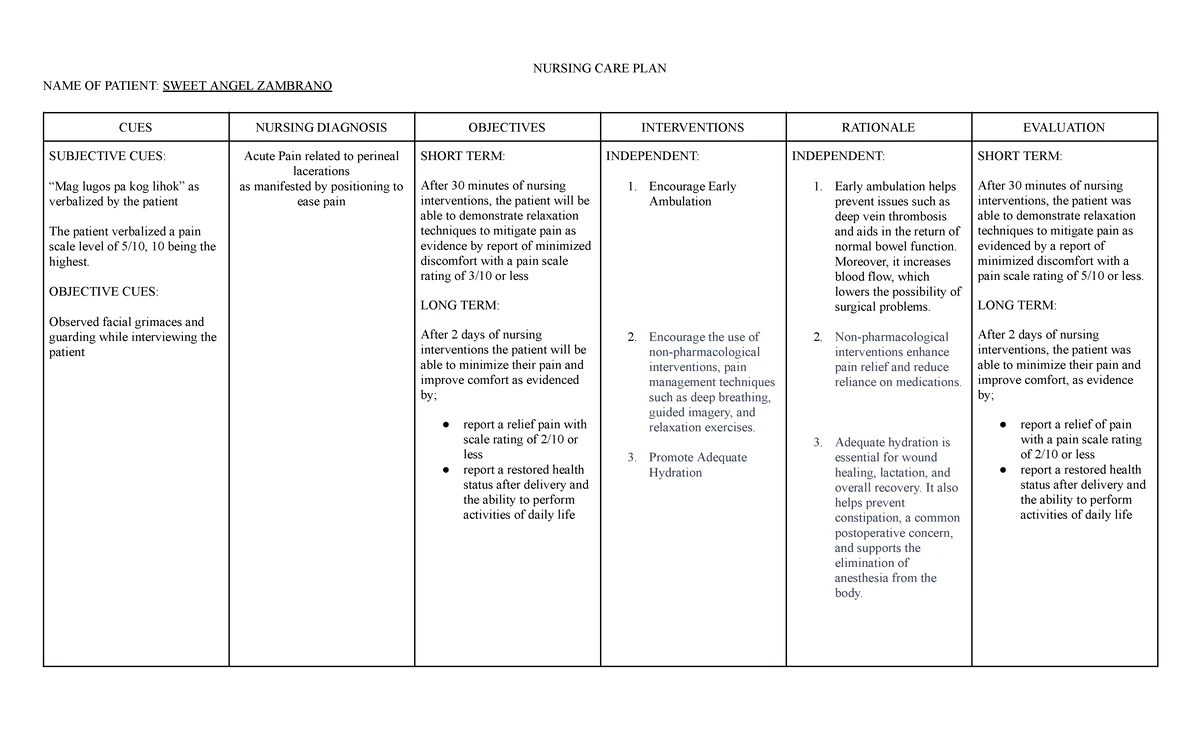 Family Health Nursing Care Plan Sample for CHN 1 RLE - Studocu