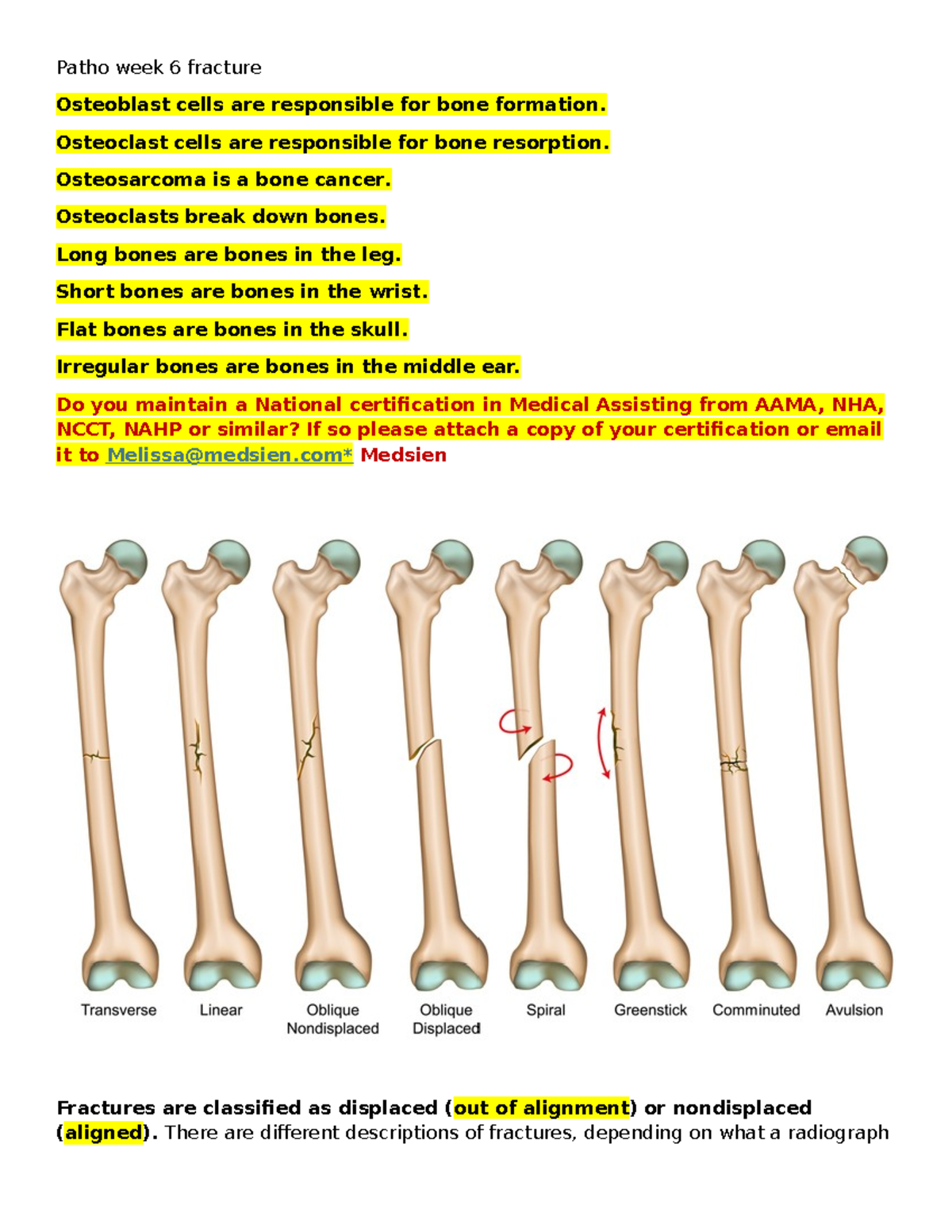 Patho 6: Understanding Bone Fractures and Healing Mechanisms - Studocu