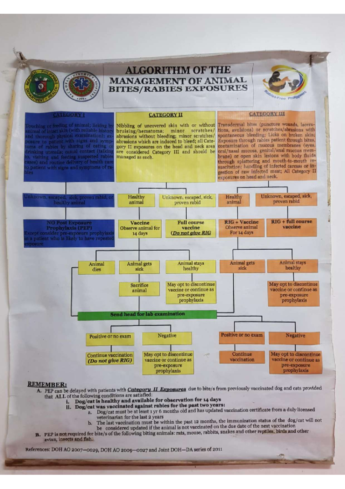 Antirabies Management: Category II Exposures & PEP Guidelines - Studocu