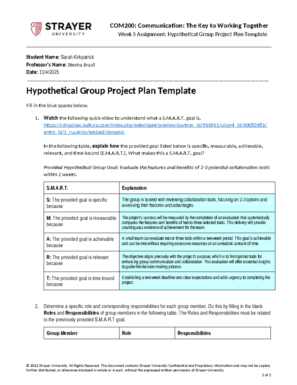 COM200: Week 5 Assignment - Hypothetical Group Project Plan Template ...