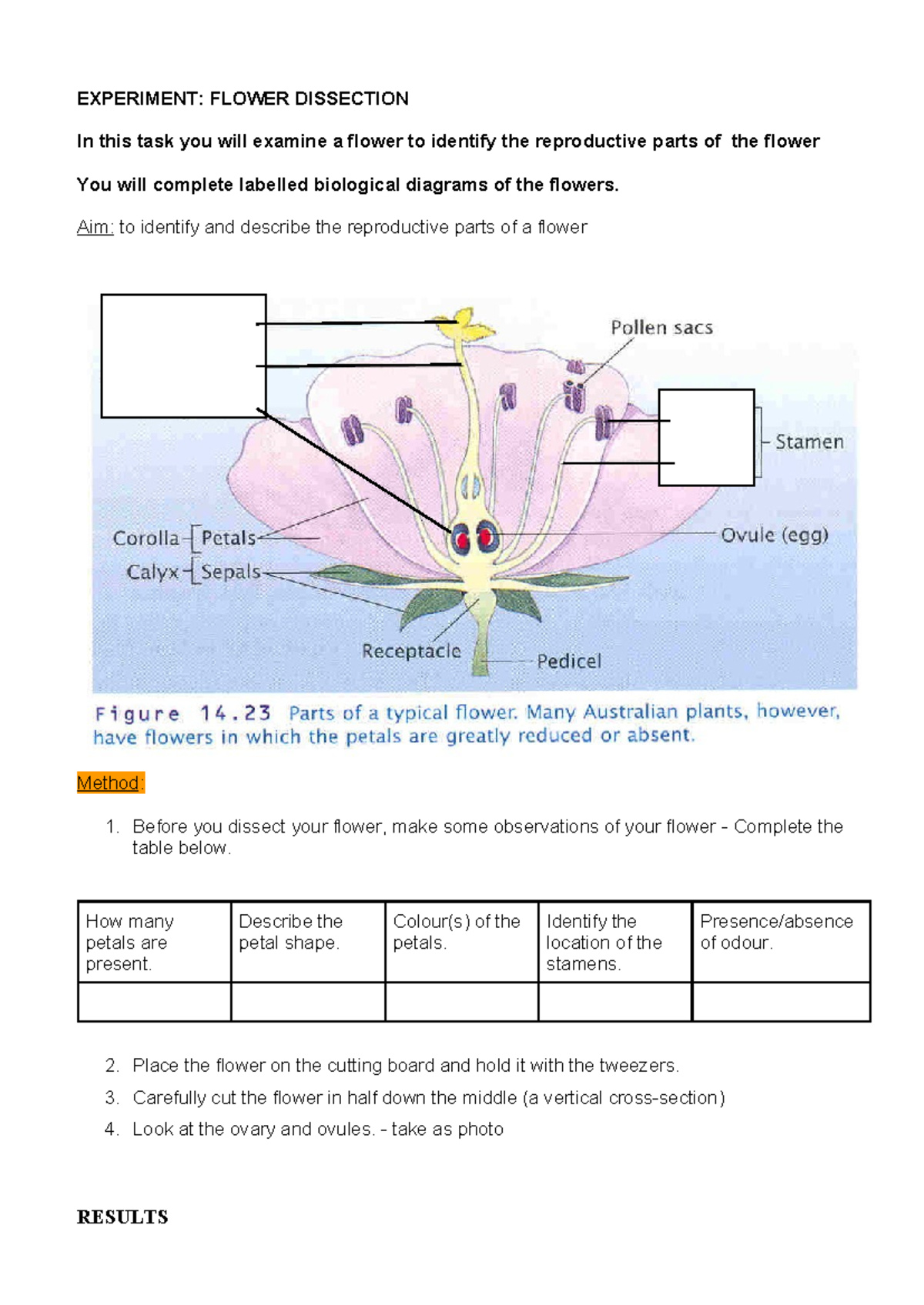 BIO 101: Flower Dissection Experiment - Identifying Reproductive Parts ...