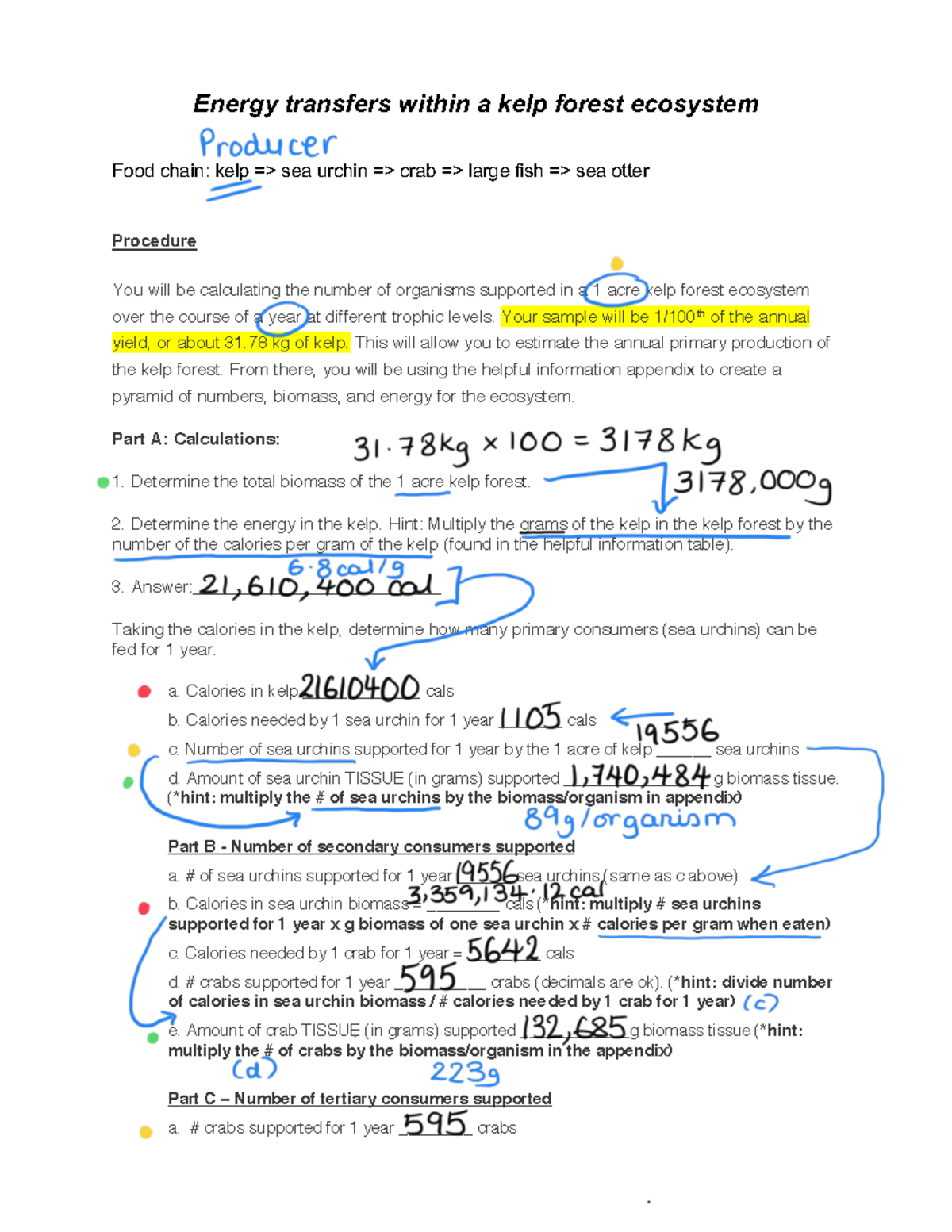 Energy Transfer Calculations in Kelp Forest Ecosystem - Final - KEY - Studocu