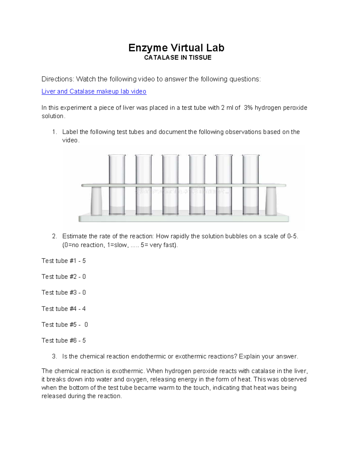 Enzyme Virtual Lab (2024): Catalase Reaction Observations and Analysis ...
