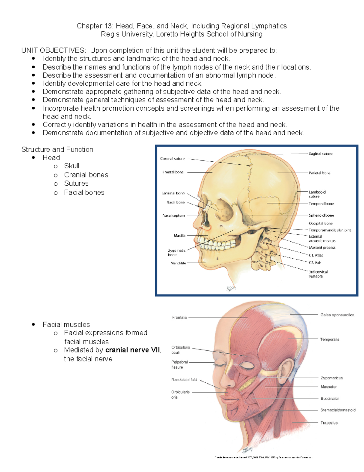 Head And Neck Nursing