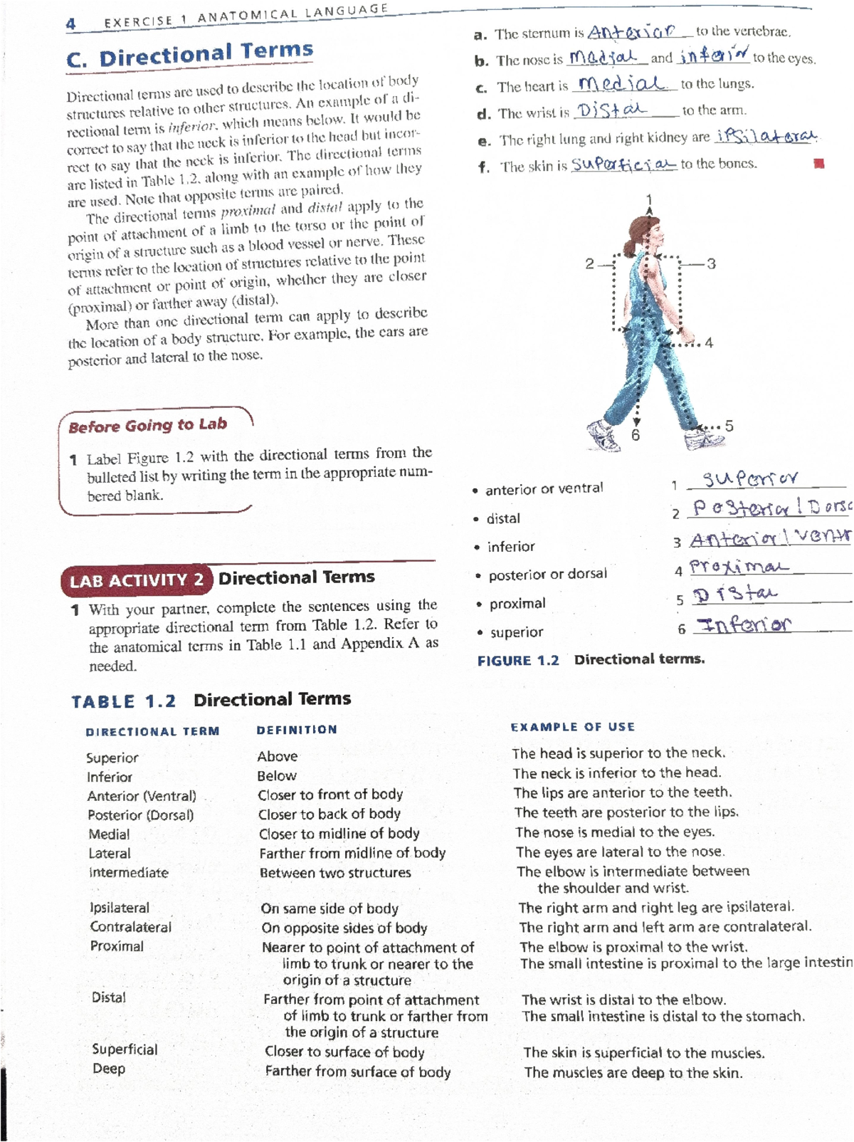 Final Exam Study Guide for Biology 101 - Key Concepts and Topics - 4 ...