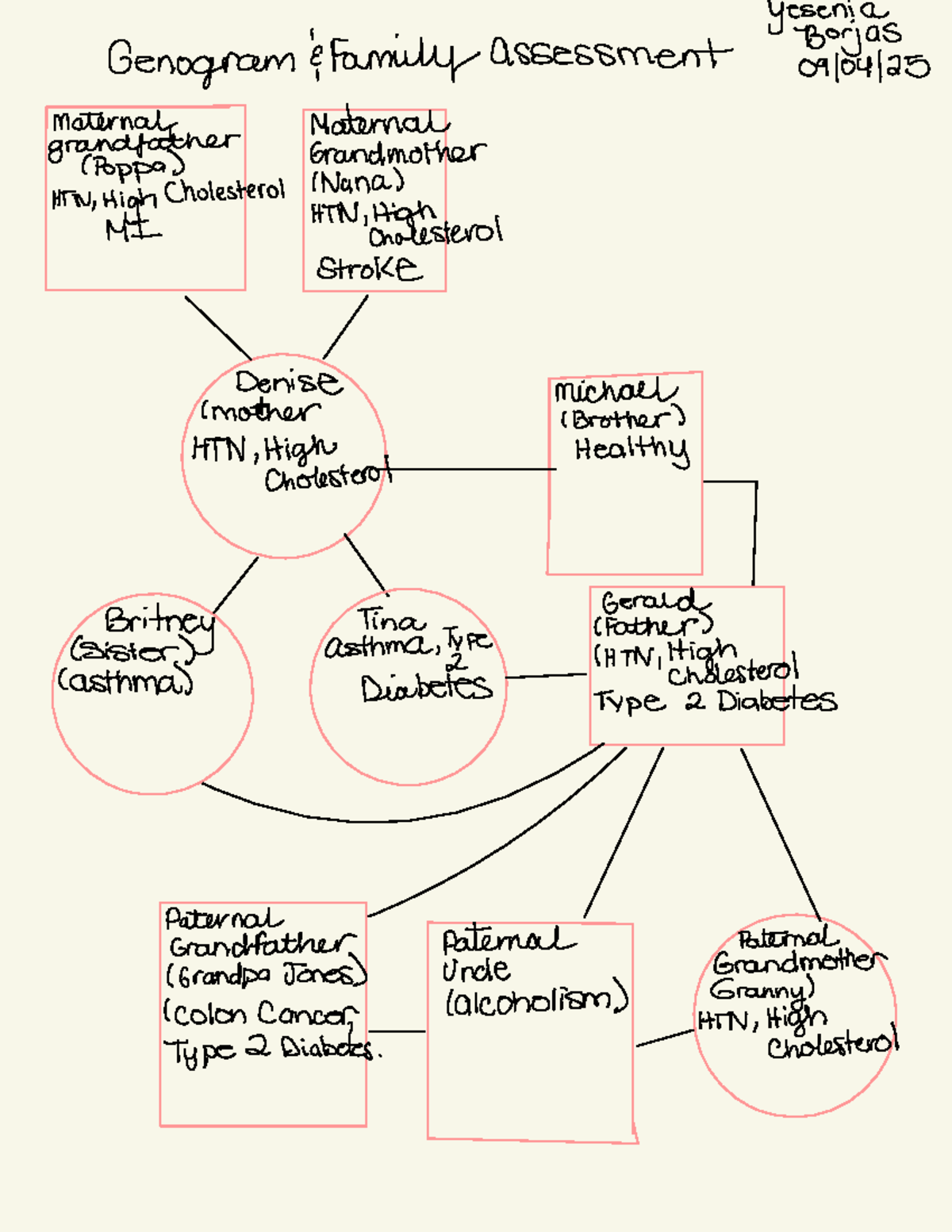 Genogram Analysis: Family Health Assessment and Conditions - Studeersnel
