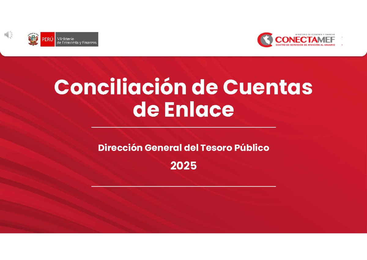 PPT: Conciliación de Cuentas de Enlace - Tesoro Público 2025 - Document Preview