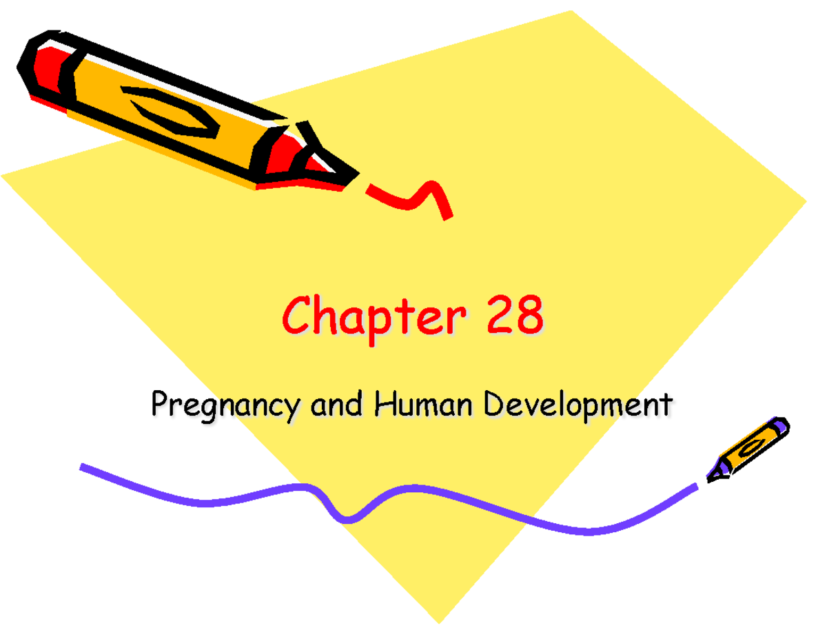 Chap 28 - Pregnancy and Human Development Overview - 2022 - Studocu