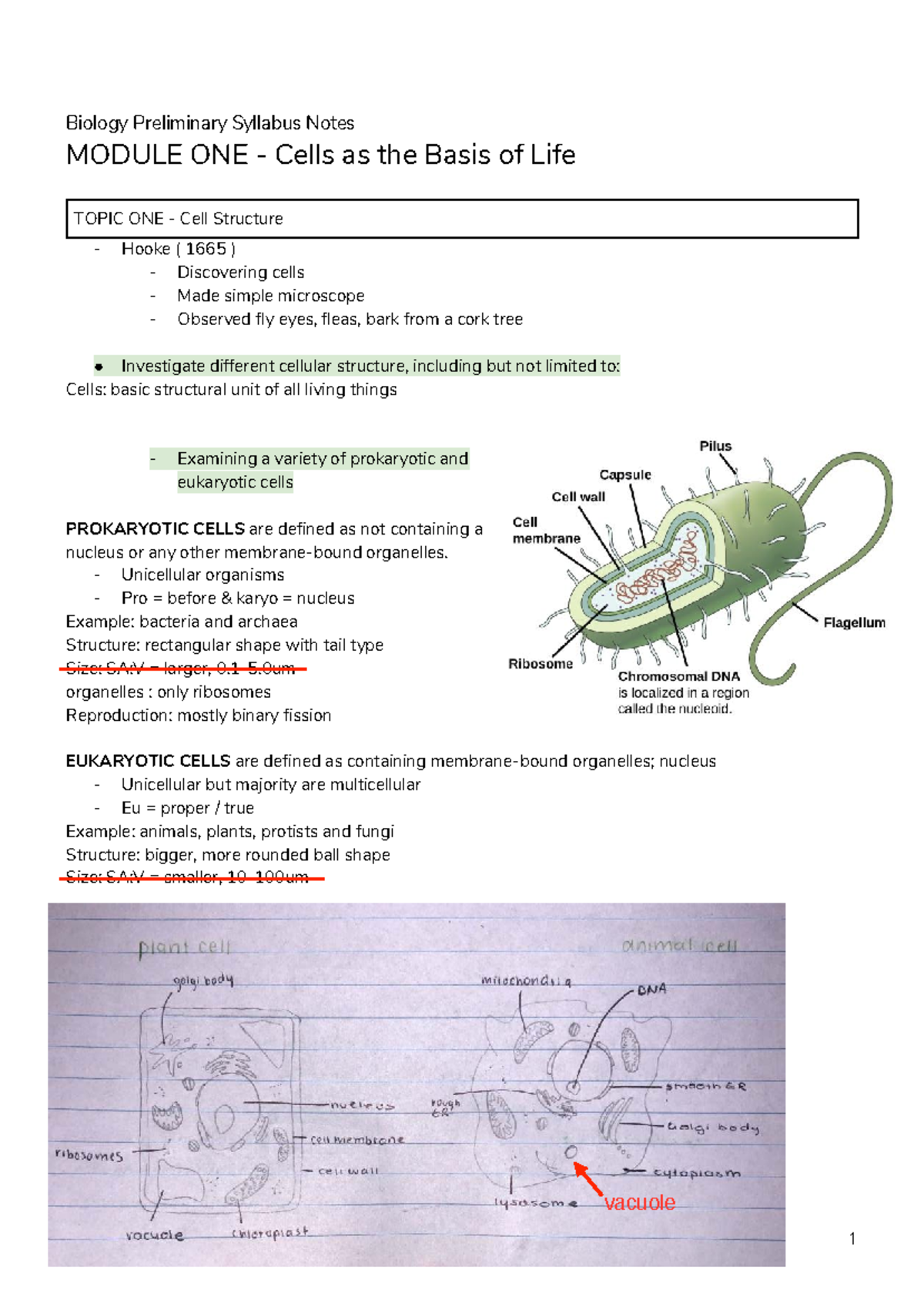 Biology 101: Module 1 - Cells as the Basis of Life Syllabus Notes - Studocu
