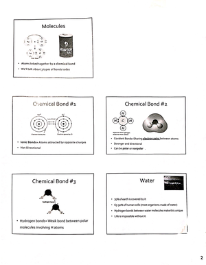Study guide intro to science-2 - STUDY GUIDE: Introduction to the ...