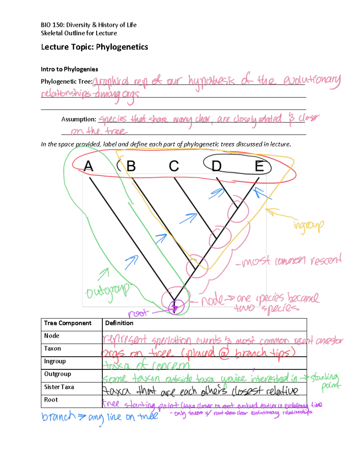 BIO 101 Lecture Outline: Understanding Phylogenetic Trees and Concepts ...