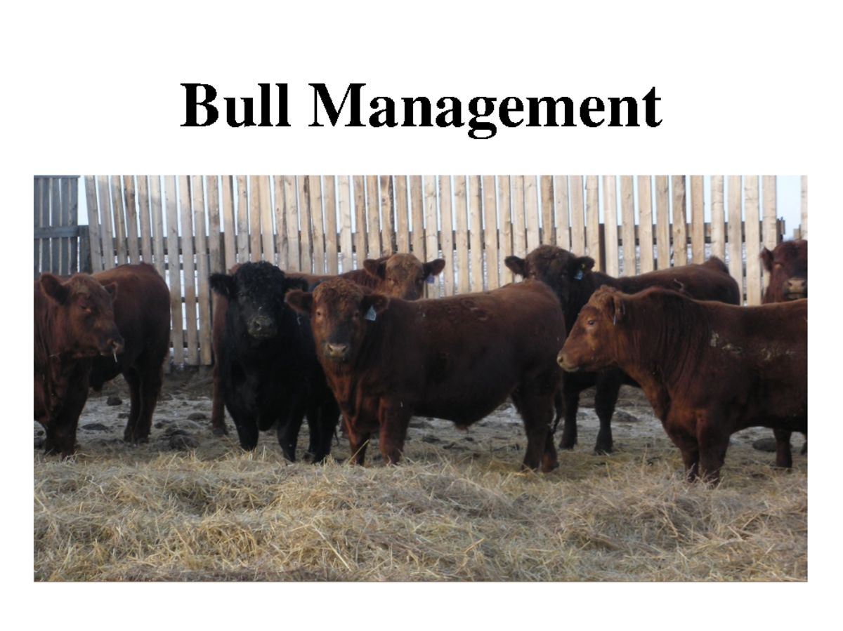 Bull Management Strategies: Genomic Tech & Breeding Practices - Studocu