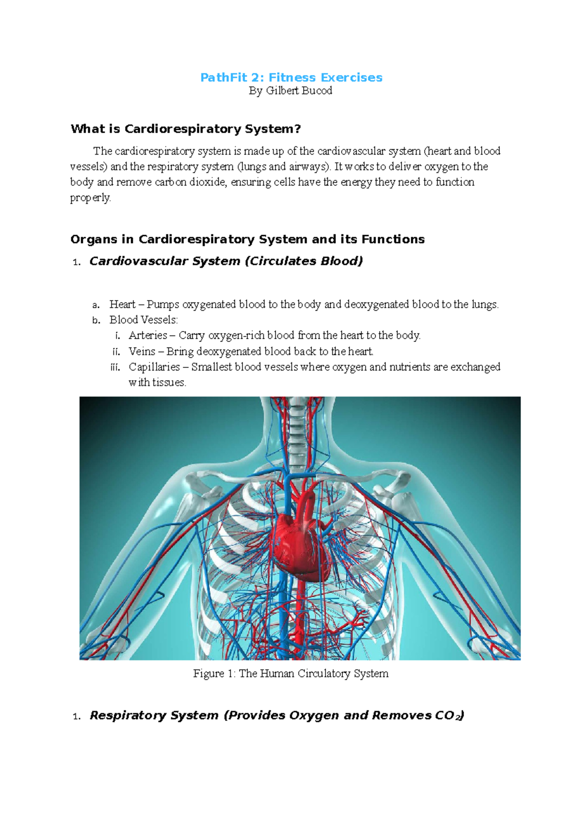 PathFit 2: Understanding the cardiorespiratory system and its functions ...