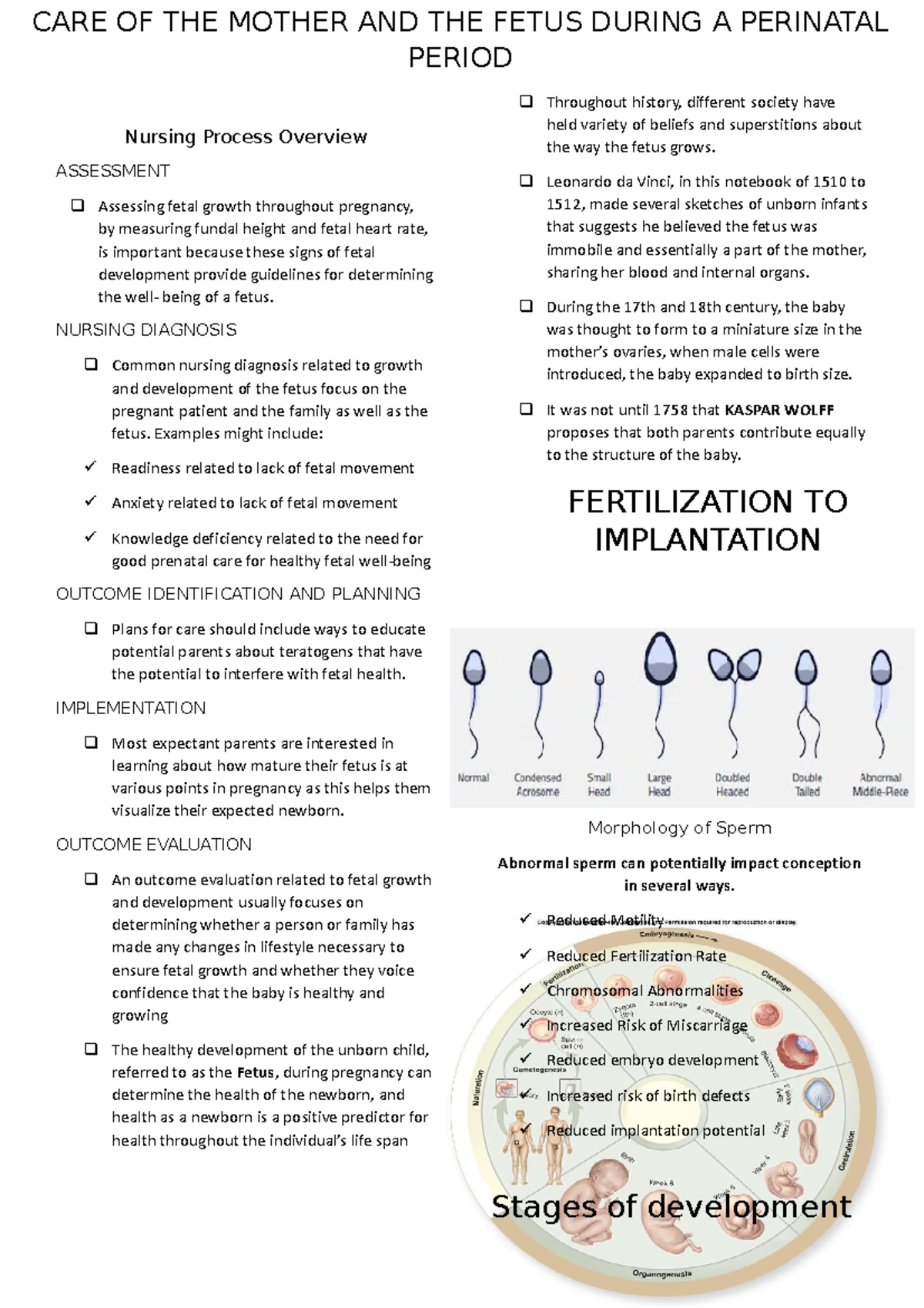 Care of Mother and Fetus in the Perinatal Period: A Nursing Overview ...