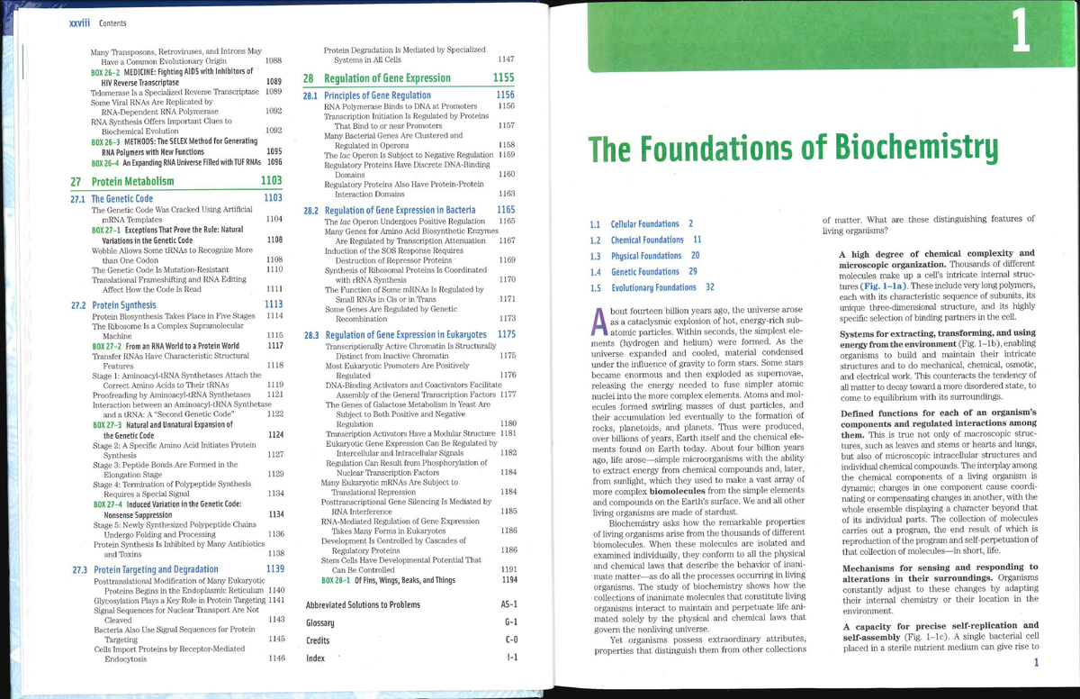 Principles of Biochemistry (BIO 101) - Comprehensive Study Notes - Studocu