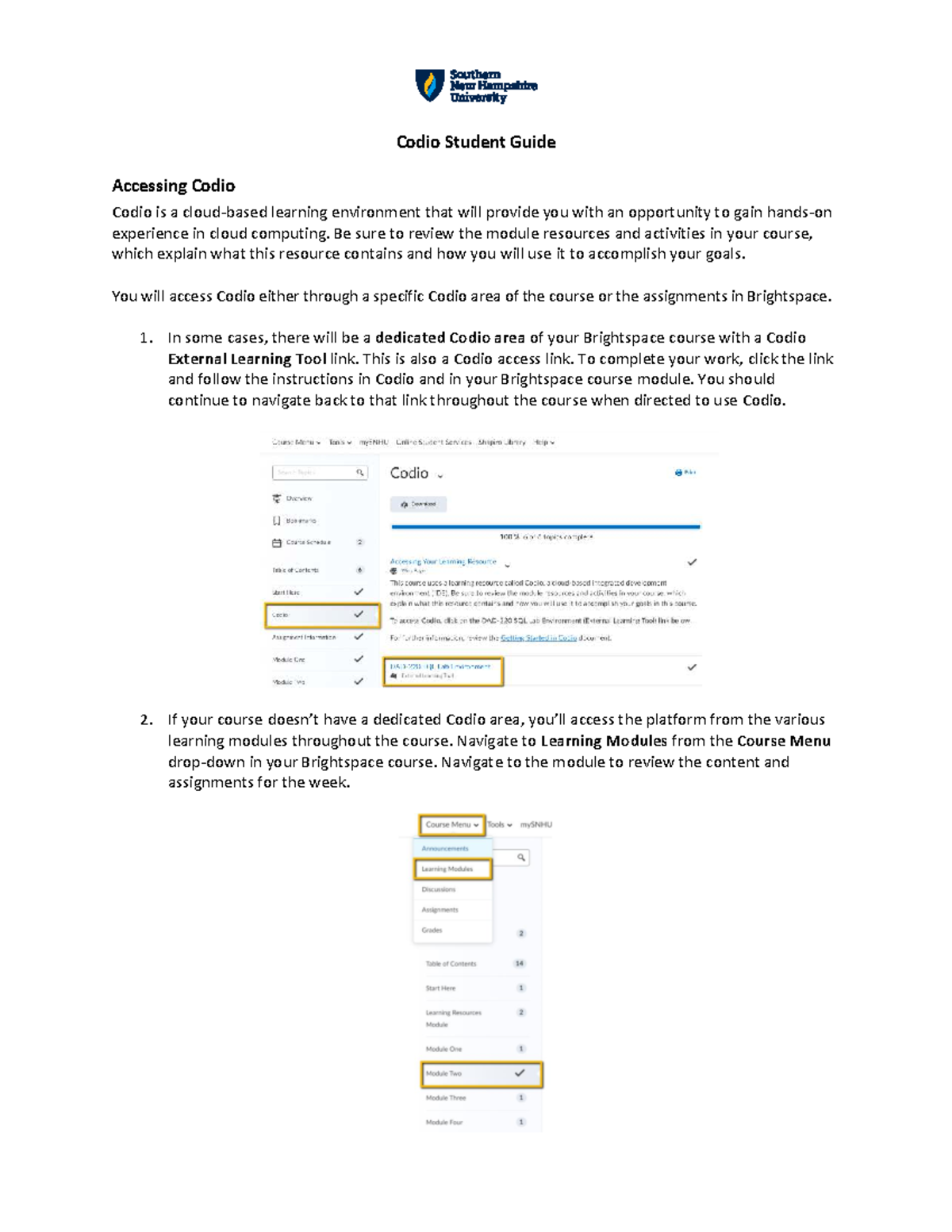 Codio Student Guide: Accessing and Using Codio in Your Course - Studocu