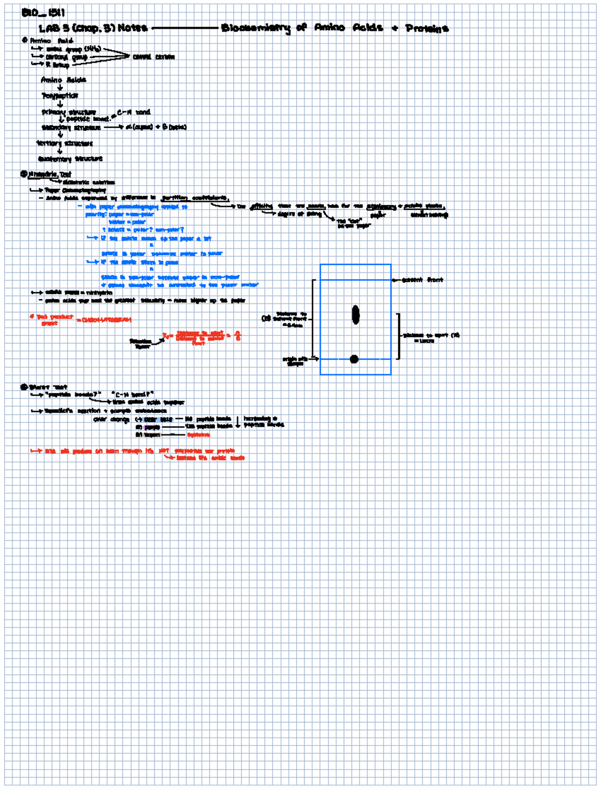 BIO1511 Ch3 Lab Notes - Based of of BIO1510 Lab manual Basic Life ...