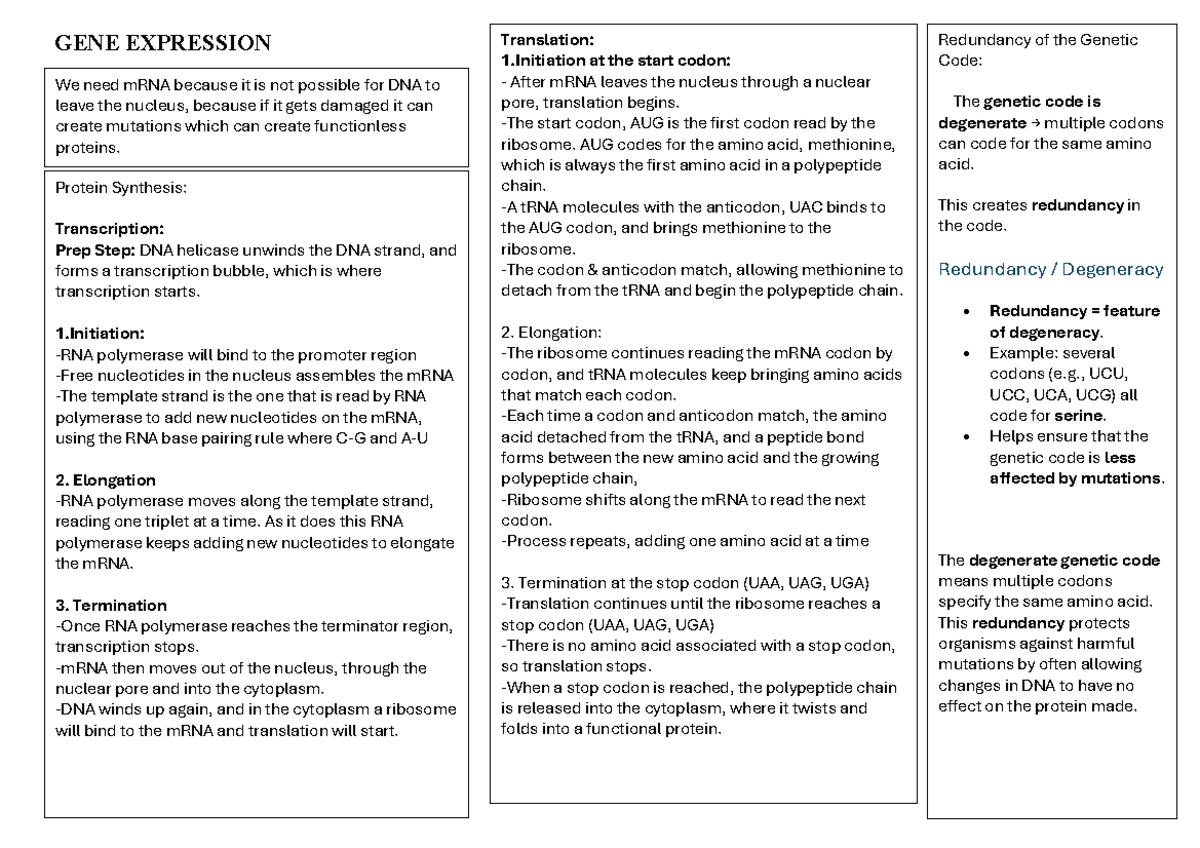 Biology Summary for Externals: GENE EXPRESSION & CELL PROCESSES - Studocu