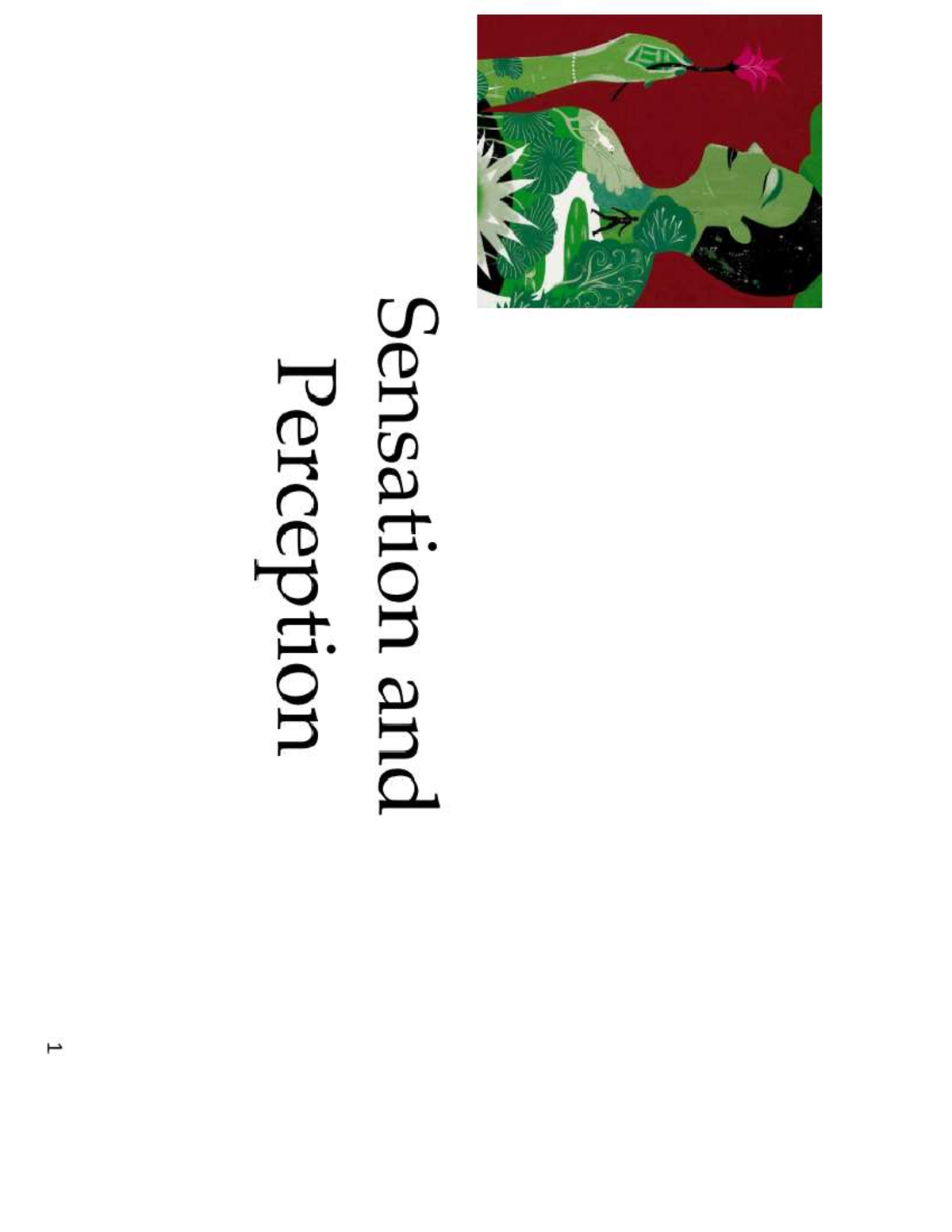 Sensation and Perception Lecture Notes - PSY 101 - Studocu