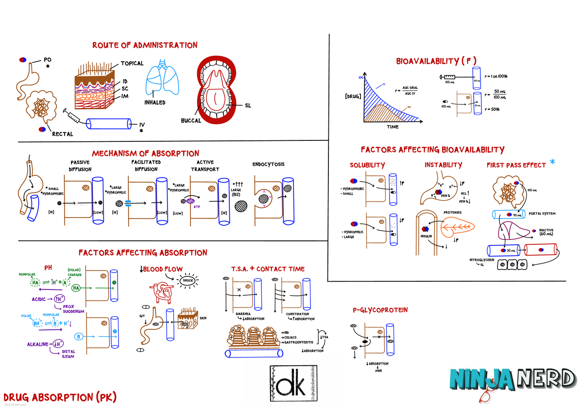 Pharmacokinetics (PK) of Drug Absorption: Routes & Bioavailability ...