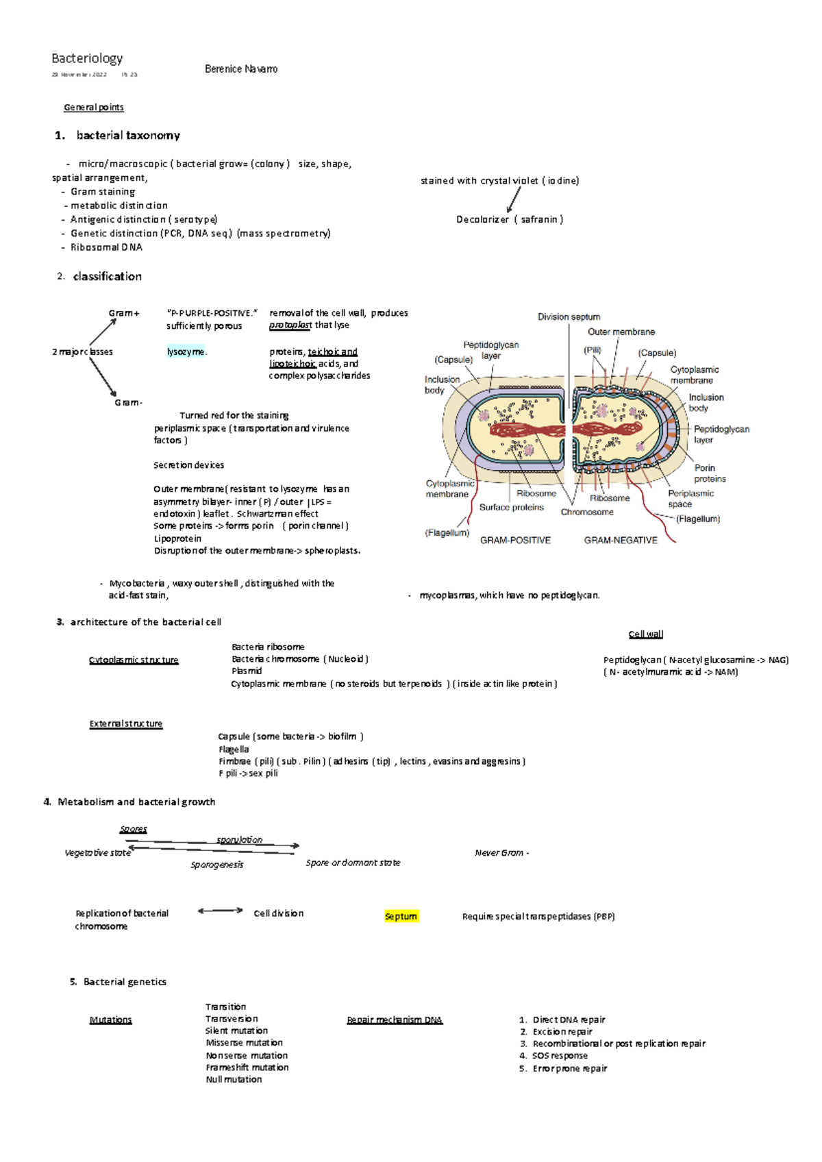 Bacteria general - microbilogy - General points 1. bacterial taxonomy ...