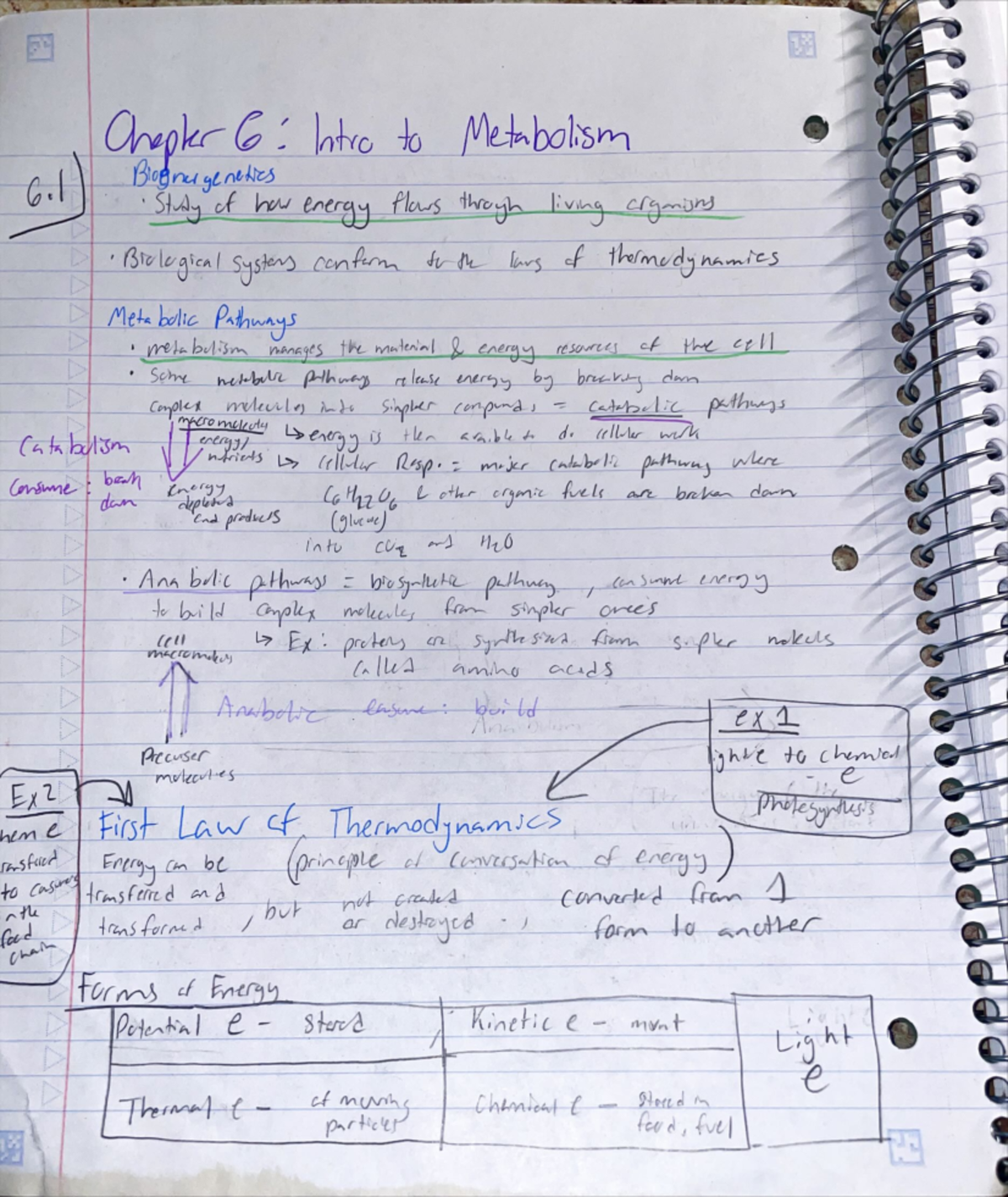 Ch 6 Notes: Introduction to Metabolism Overview - Studocu