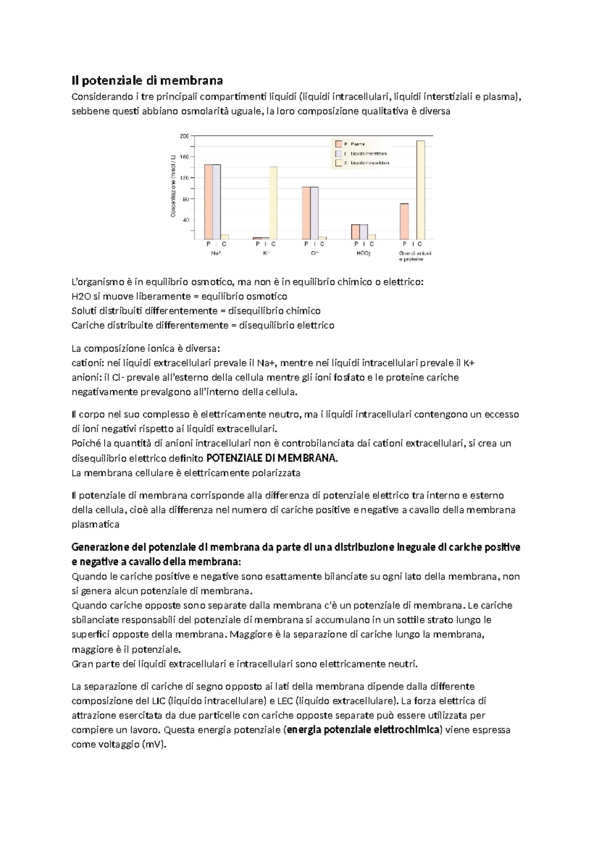 gusti liquidi sigaretta elettronica kiwi Nefrologia e urologia – Equilibrio idro elettrolitico main image 0
