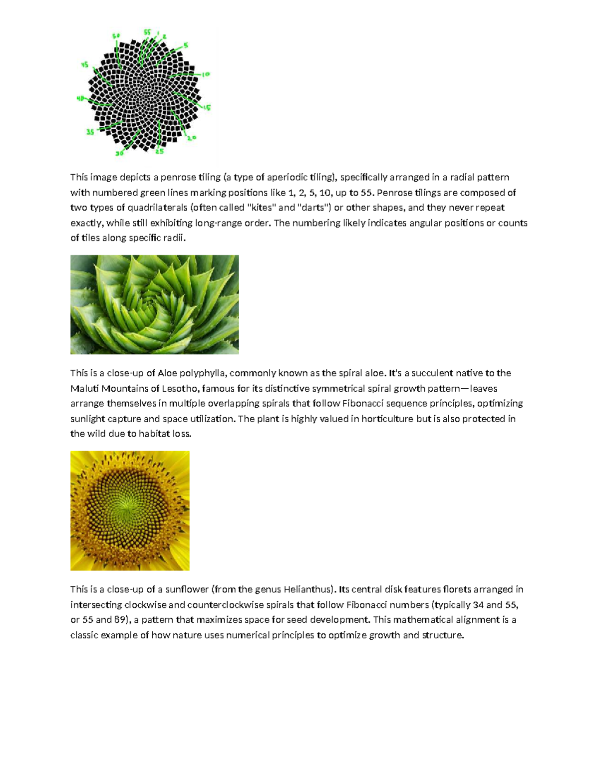 Toto1 - Maman: Exploring Radial Patterns in Nature's Geometry - Studocu