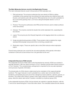 DNA Replication - Study Notes & Assignments - Studocu