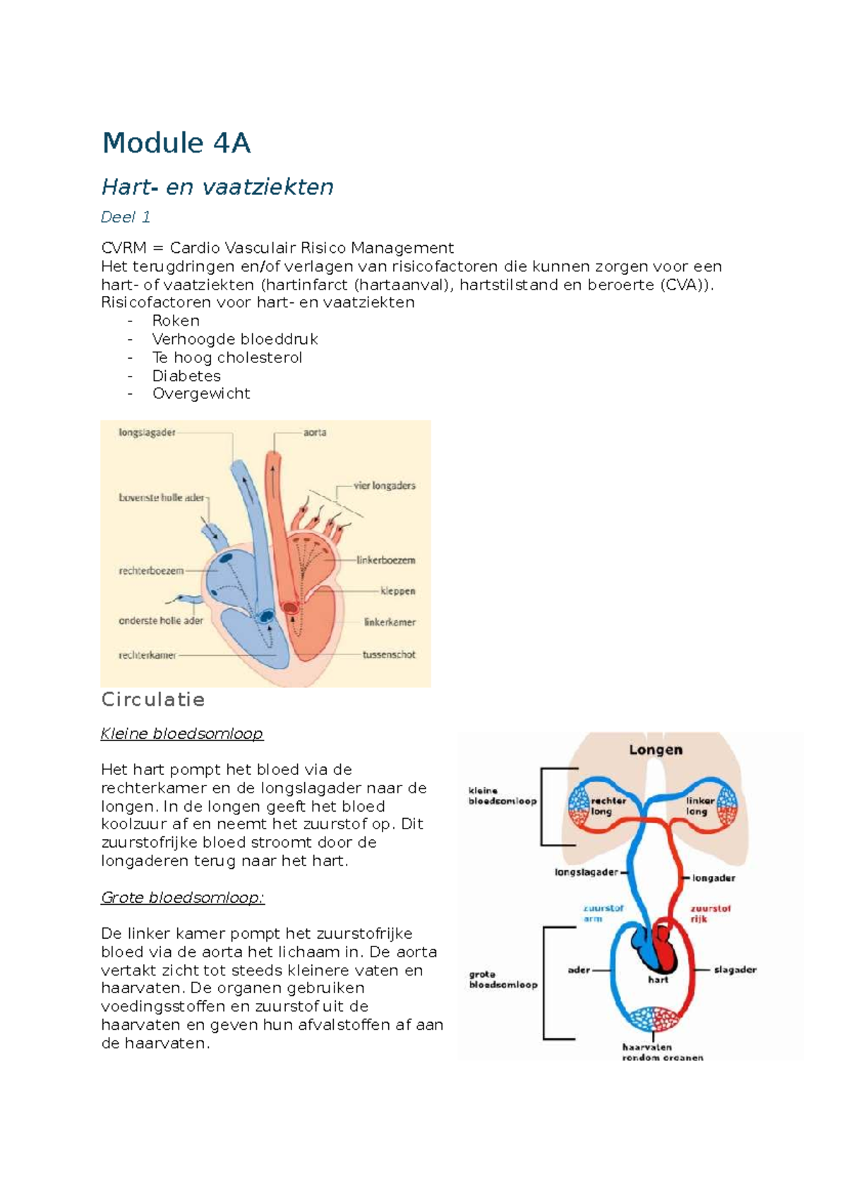 Samenvatting Module 4A: CVRM en Behandeling van Vaatziekten - Studeersnel