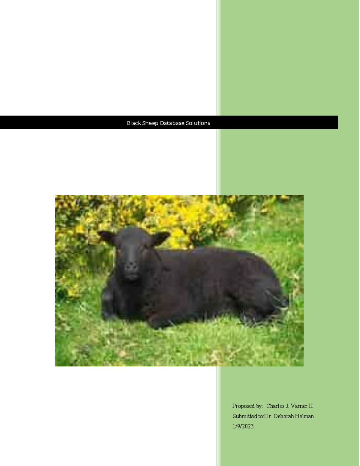 Black Sheep Database Solutions: Strategic Marketing Plan & Analysis ...