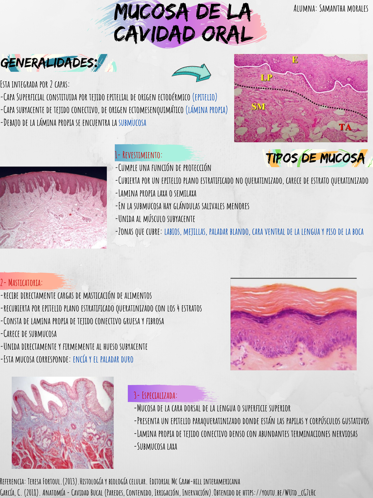 Mucosa de la Cavidad Bucal: Funciones y Tipos de Mucosa - Studocu