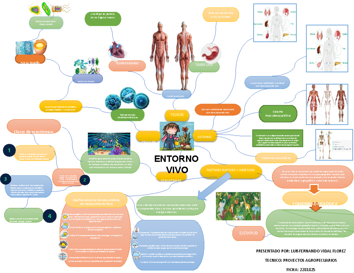 512038710 Mapa Mental del Entorno Vivo y Ecosistemas GA1 2202015 01 AA1 ...