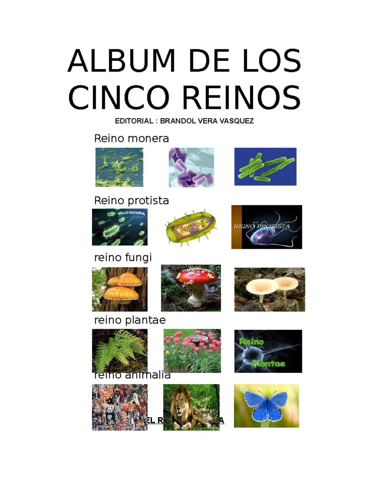 Estudio sobre los Reinos de la Vida: Monera, Protista, Plantae y Animalia -  Studocu